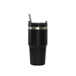 20 Oz Stainless Steel Tumbler with Straw - Black
