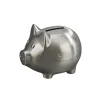 Small Piggy Bank With Matte Finish