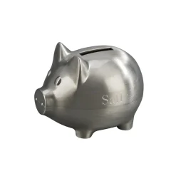 Small Piggy Bank With Matte Finish