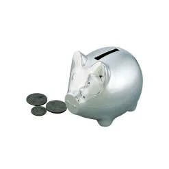 Small Piggy Bank With Polished Finish